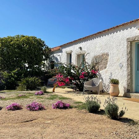 Massidda Country Retreat Villa Santa Teresa Gallura Bagian luar foto