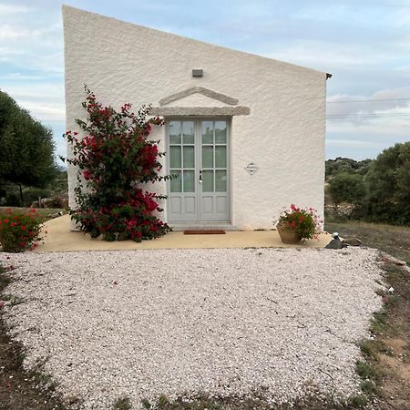 Massidda Country Retreat Villa Santa Teresa Gallura Bagian luar foto