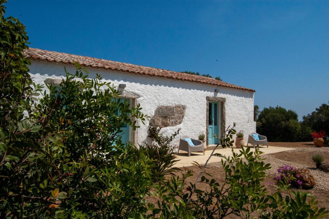 Massidda Country Retreat Villa Santa Teresa Gallura Bagian luar foto