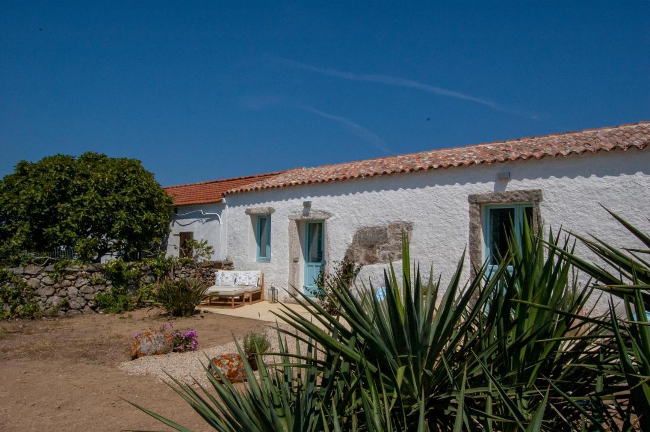 Massidda Country Retreat Villa Santa Teresa Gallura Bagian luar foto