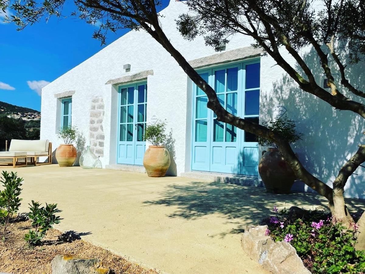 Massidda Country Retreat Villa Santa Teresa Gallura Bagian luar foto